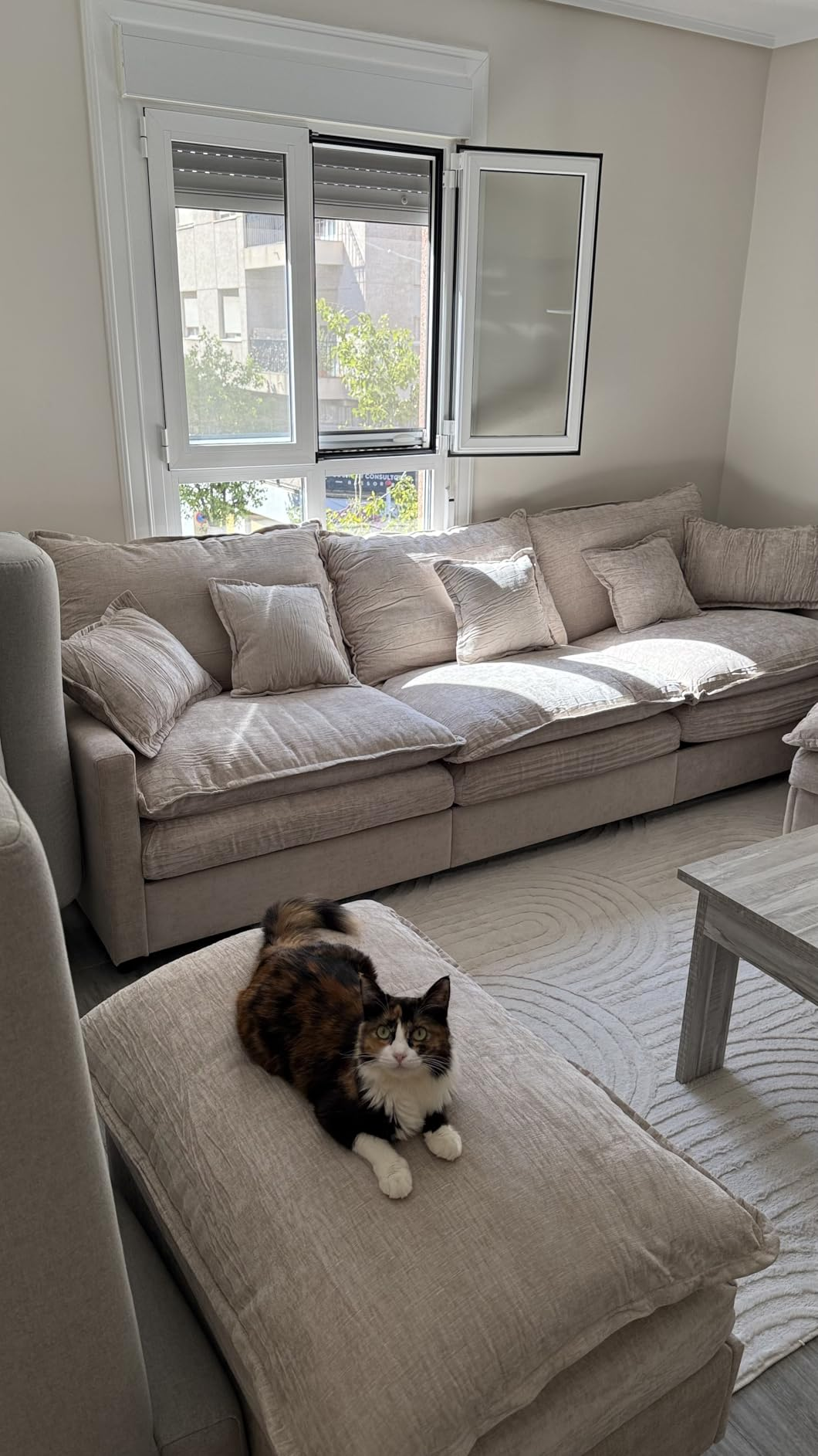 Customer photo of the sofa by the fireplace with framed pictures
